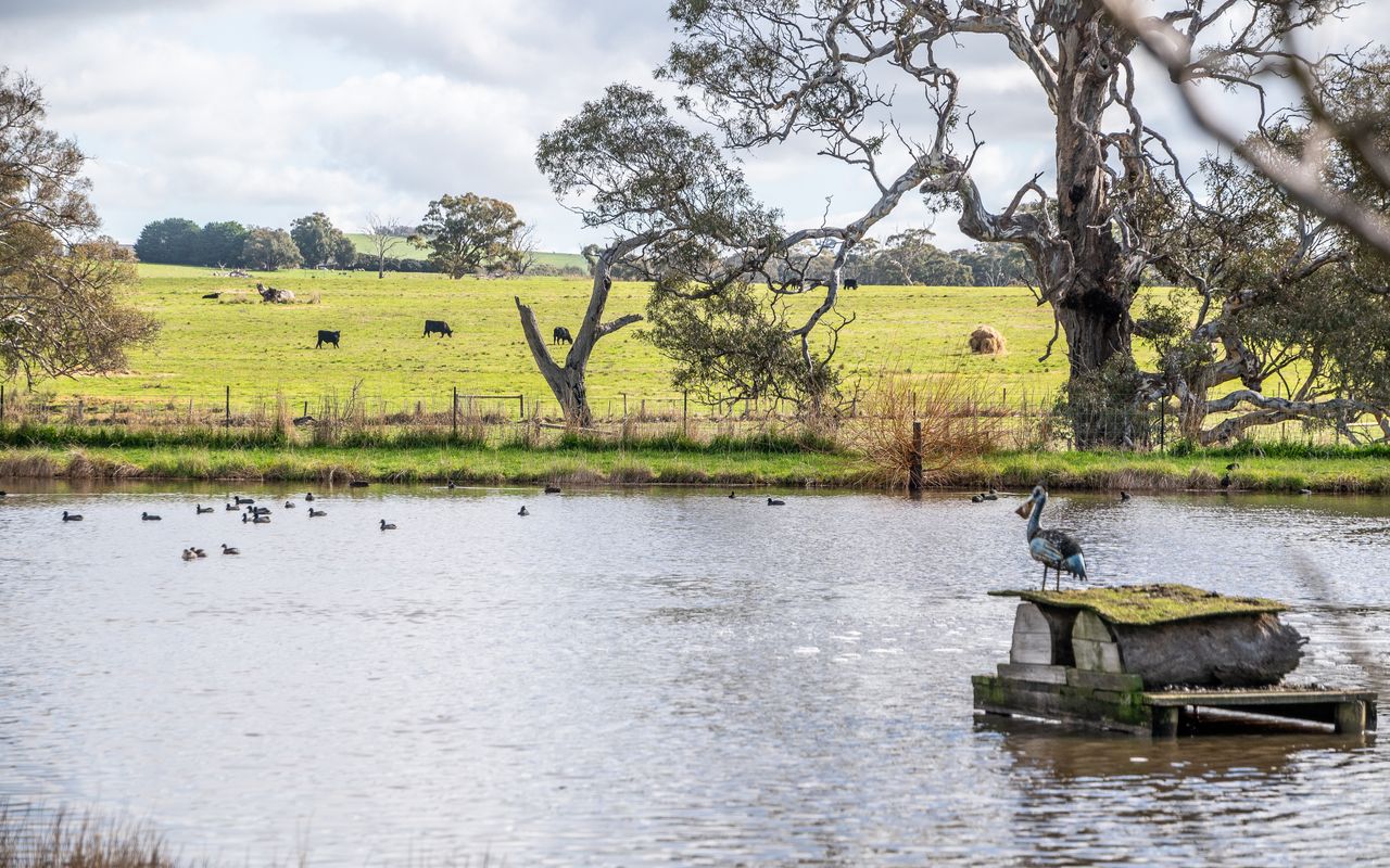 Mollison Park Farm