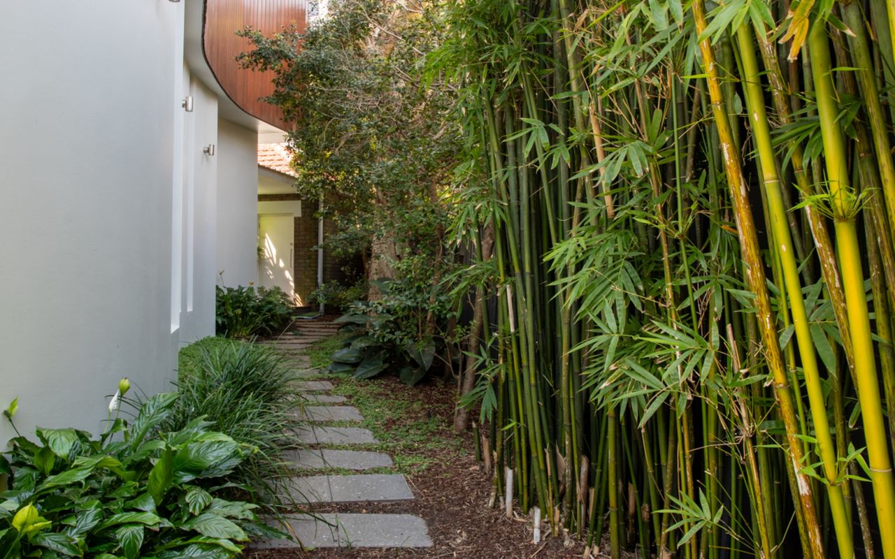 Marcel Abode, Randwick IH