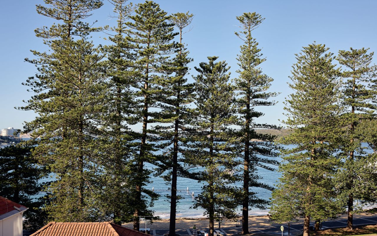 Claire Cove, Manly ISYD