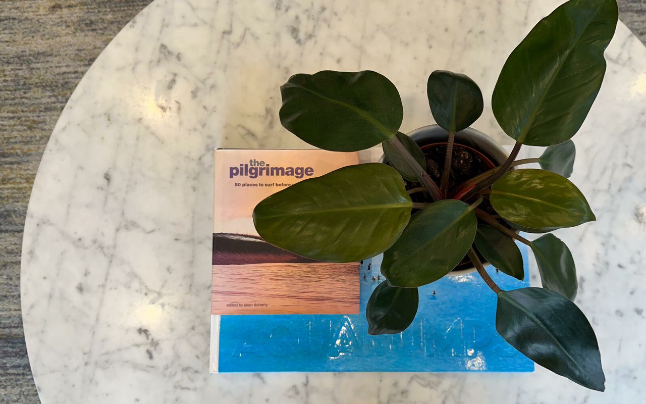 La Palmera North Bondi IH