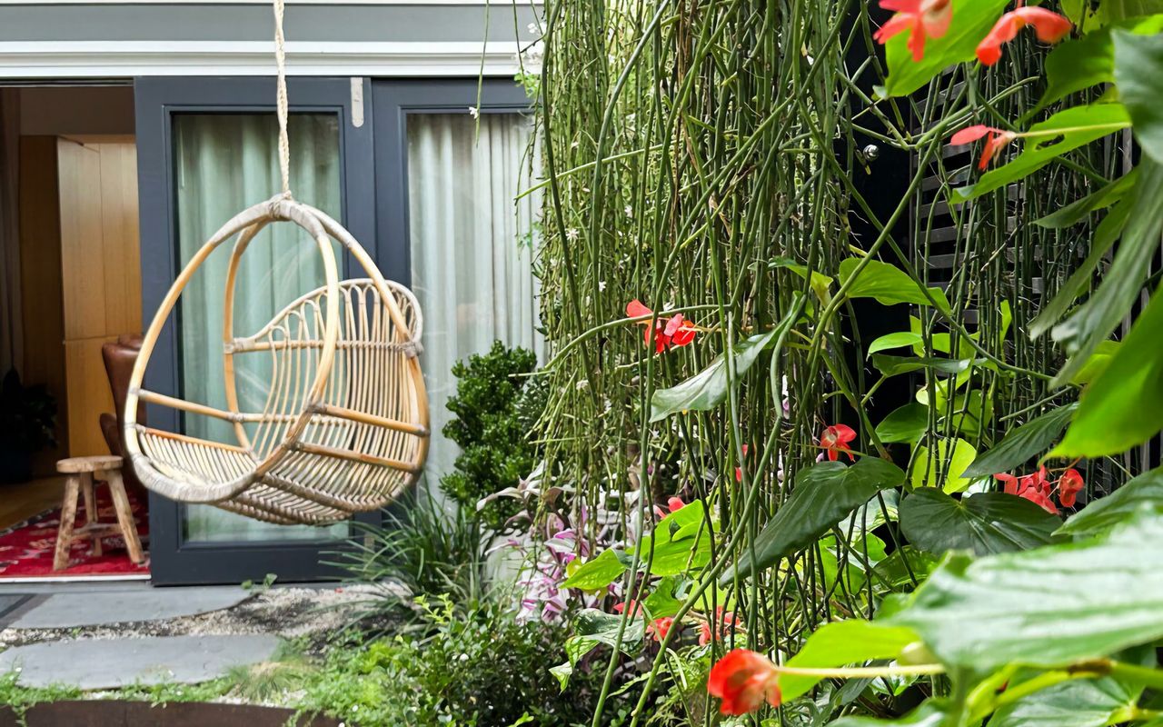 The Modern Botanist Newtown IH