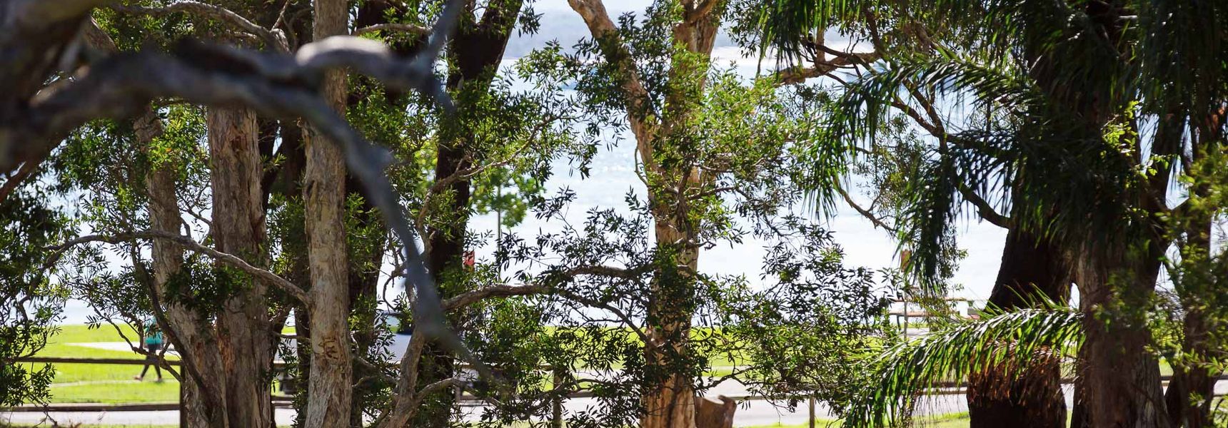 Bay Parklands, 34/2 Gowrie Avenue – Air con, WIFI, Views, Pool, Spa & Tennis Court