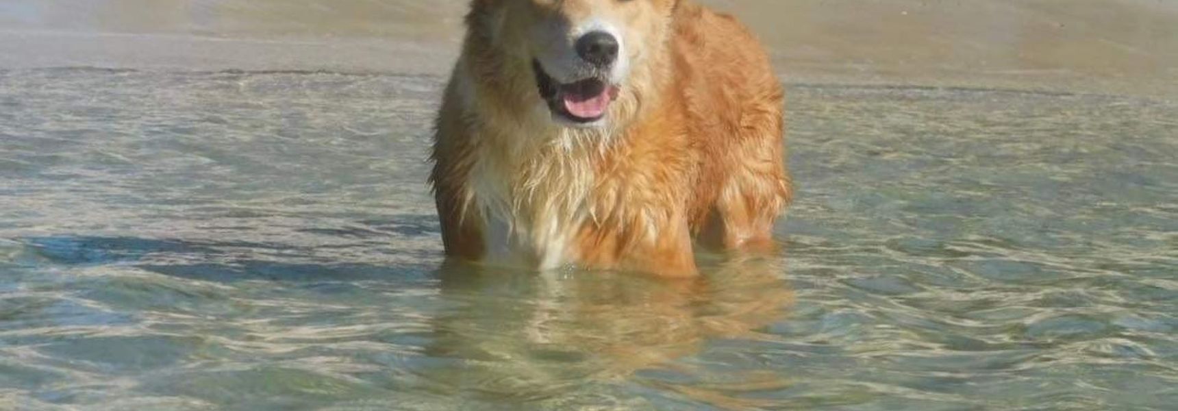 Galoola Hidden Gem, 2/97 Galoola Drive, Rooftop outdoor area with spectacular views, Wi-Fi, Air Conditioning, Pet Friendly