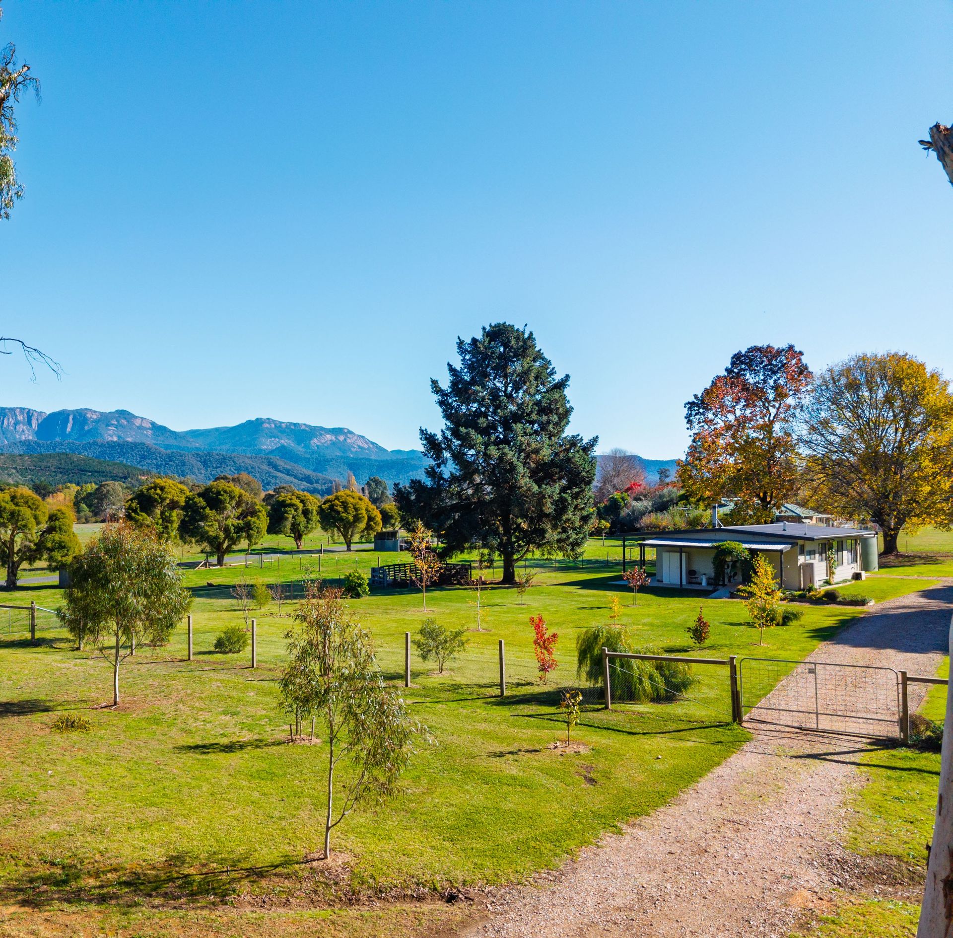 Fully Fenced 1/2 Acre