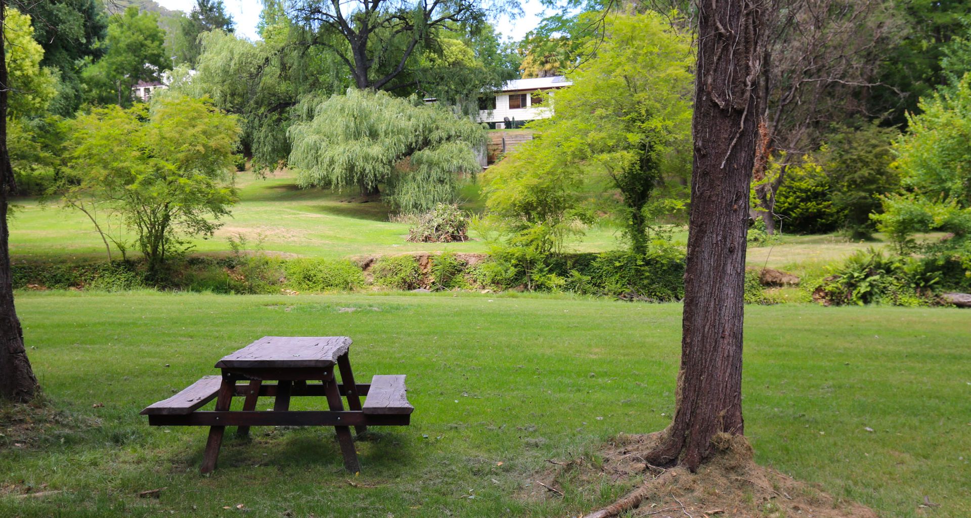TREE VIEW COTTAGE