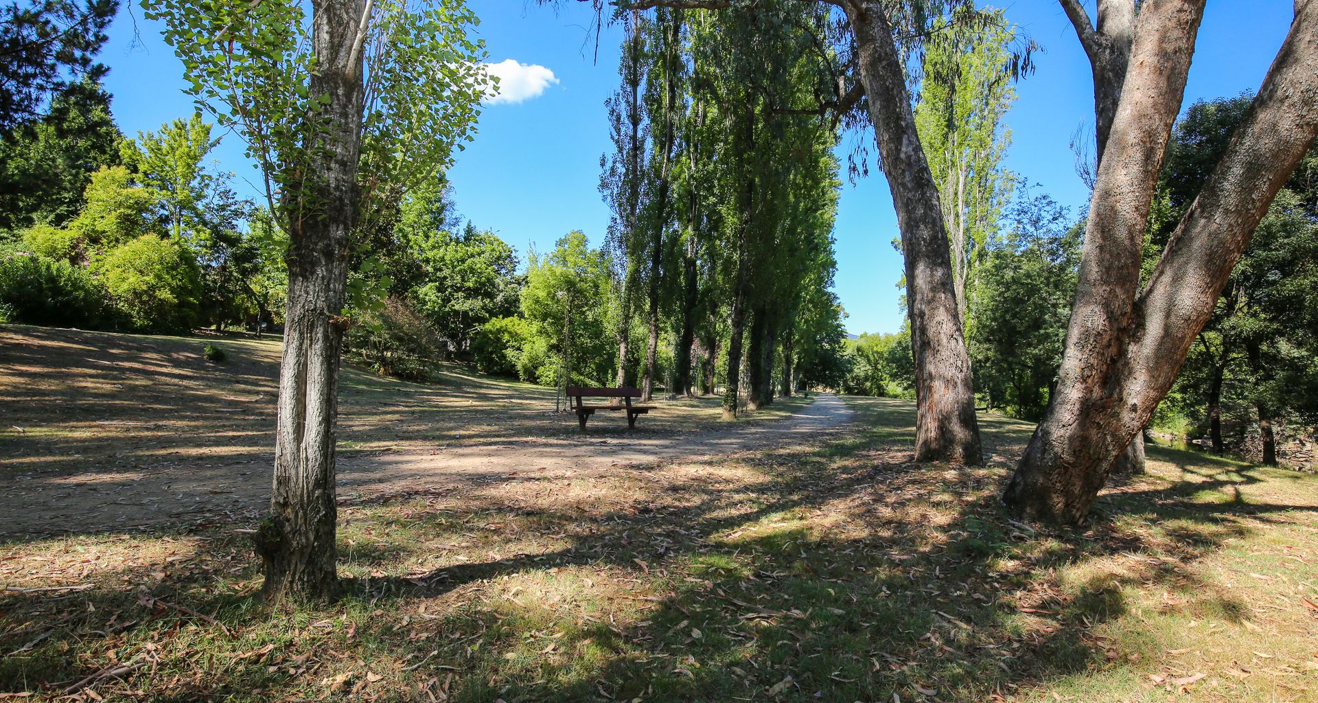 THE ROCKS – OLIVE RETREAT