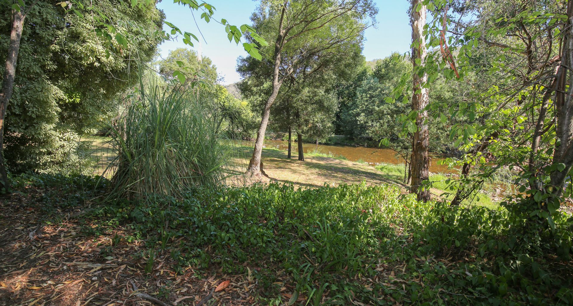 THE ROCKS – OLIVE RETREAT