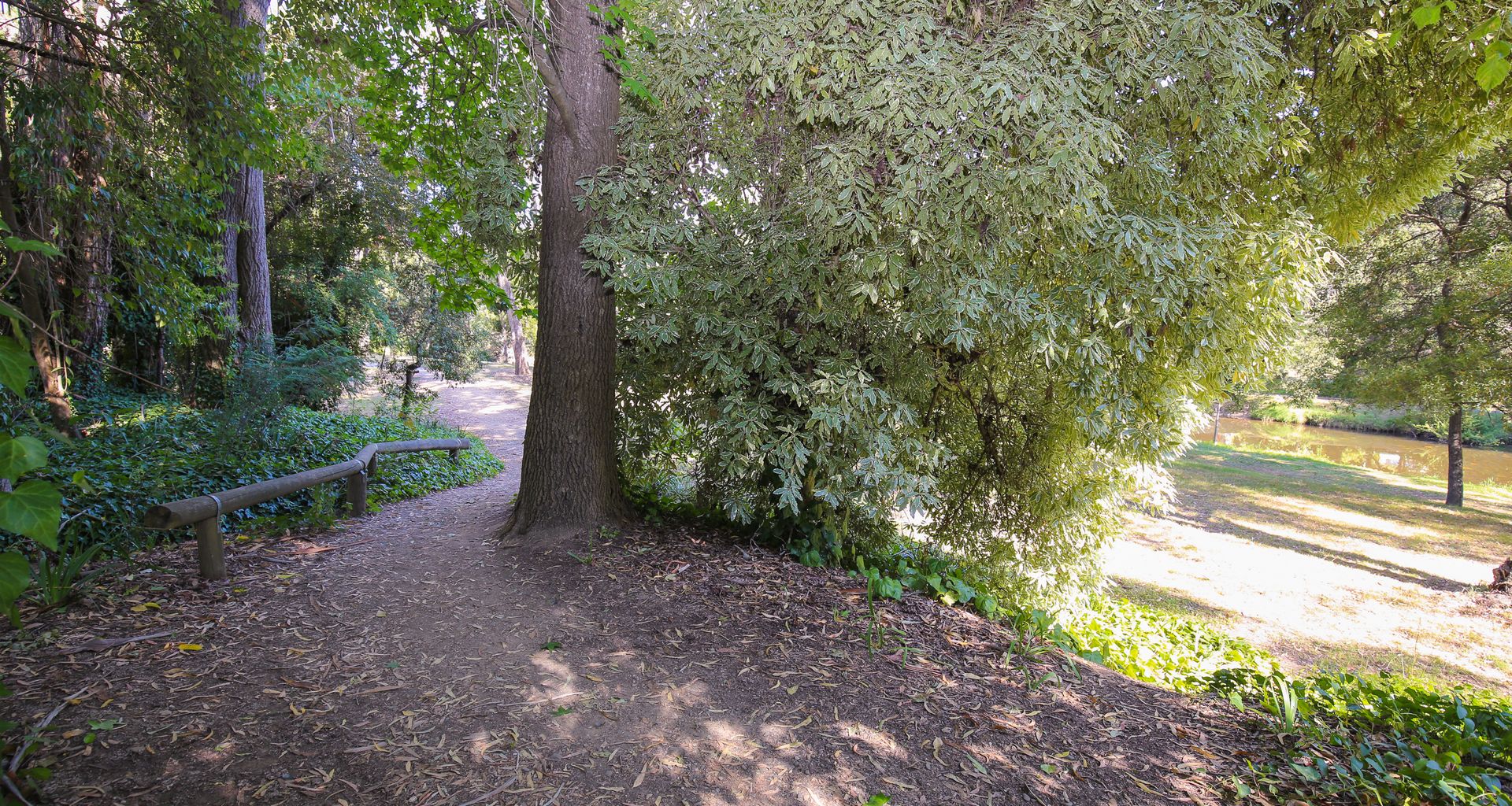 THE ROCKS – MAPLE TINY HOME