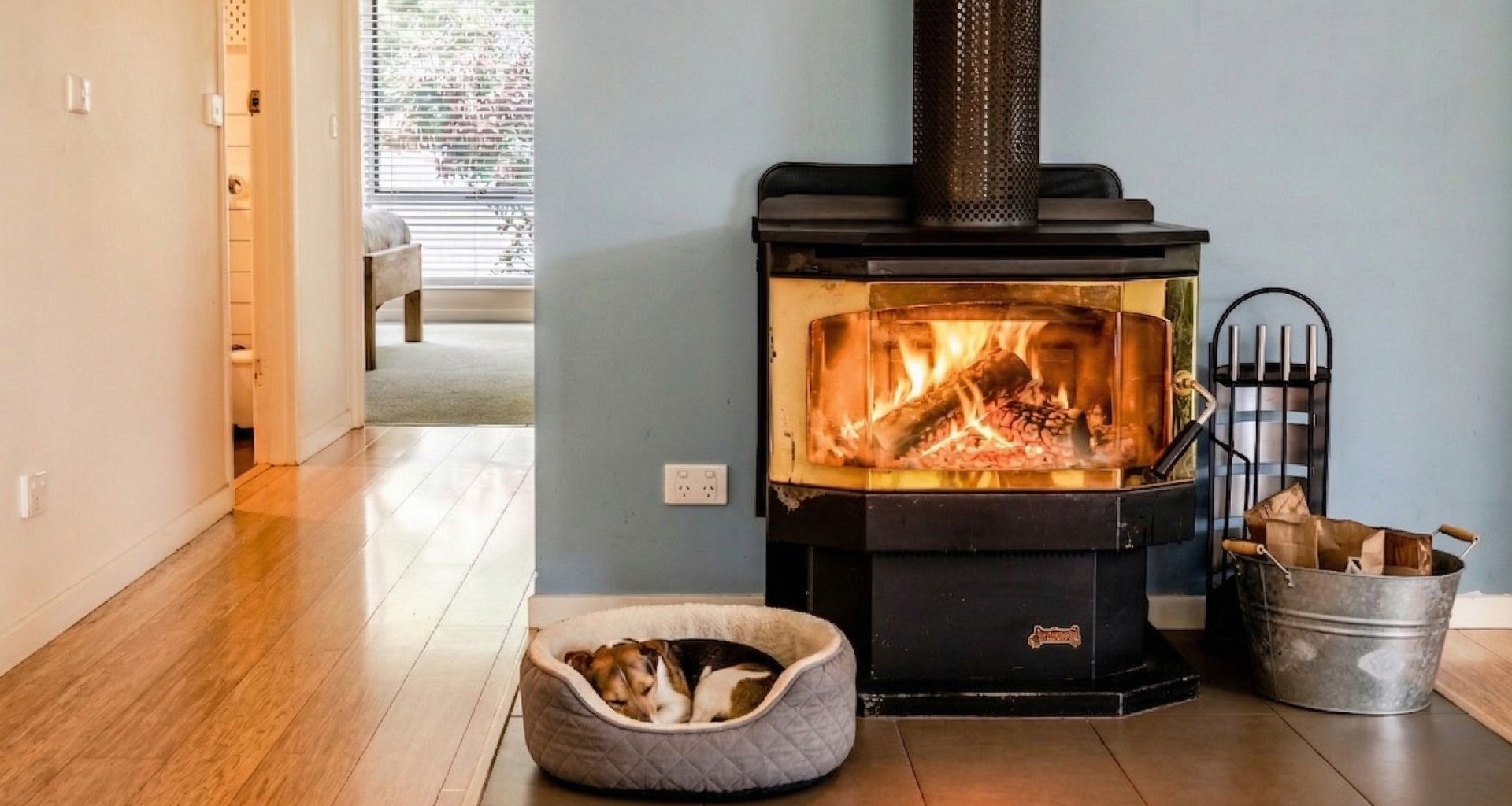 Dog in front of fire at Cindy's View
