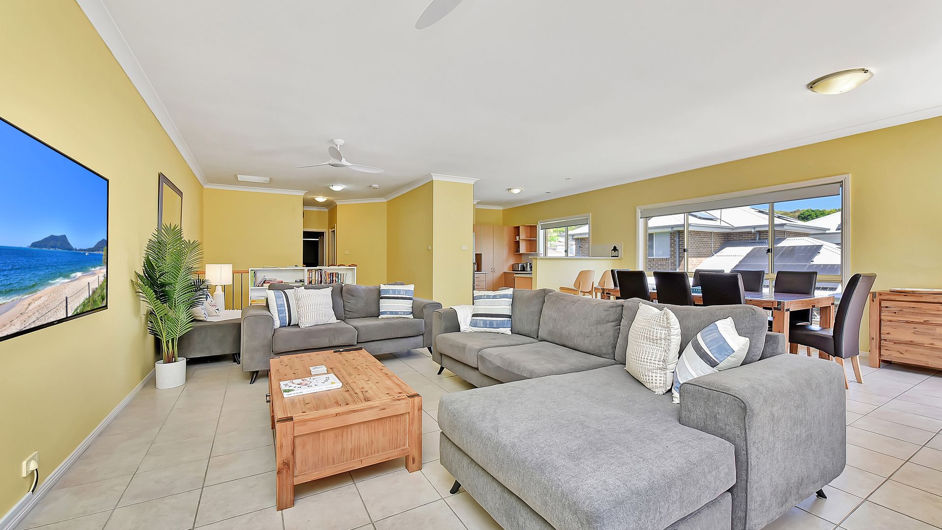 Salt and Paws @ Fingal Bay