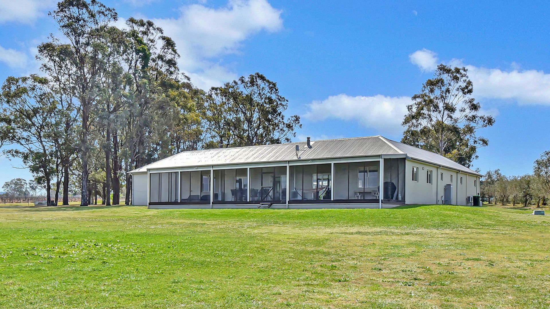 Olives and Vines at Majors Lane