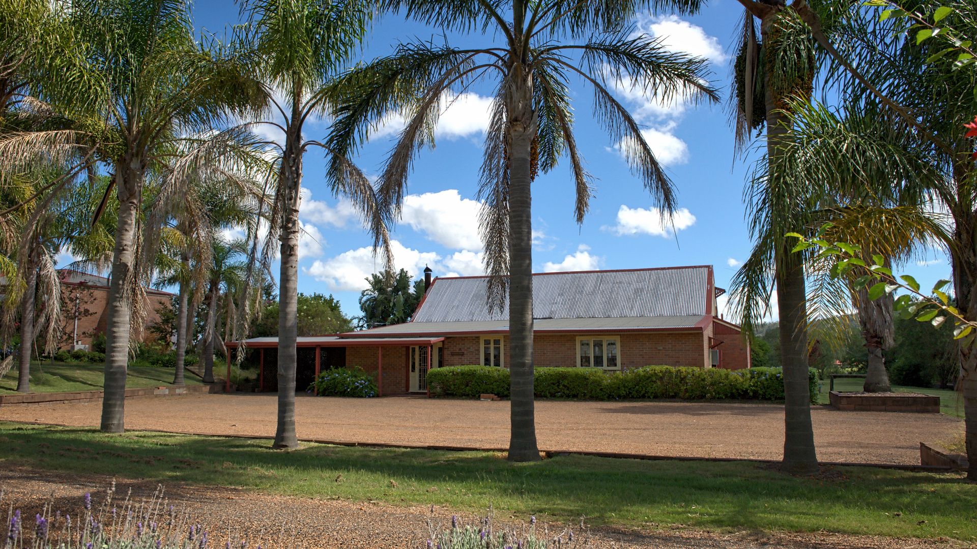 Nature's Embrace: Cozy House Nestled Among Towering Trees