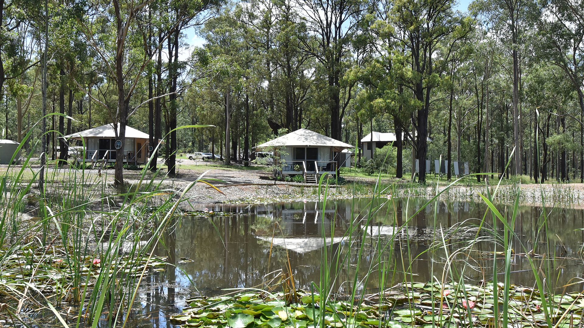 Pokolbin Glamping. Sleeps 6 across 3 eco-friendly glamping Tents