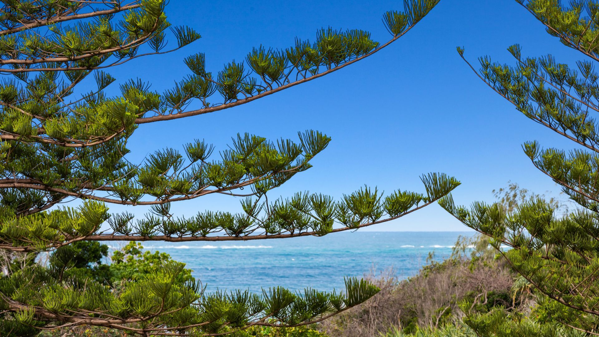 Surf Side Apartment 11