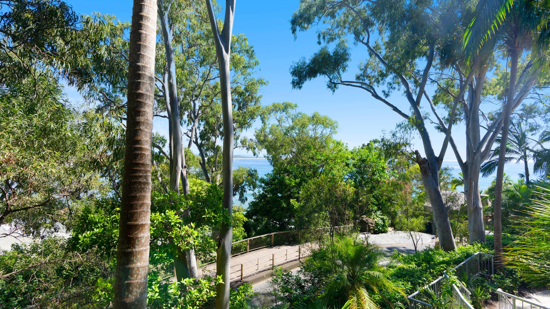 Billie – Little Cove