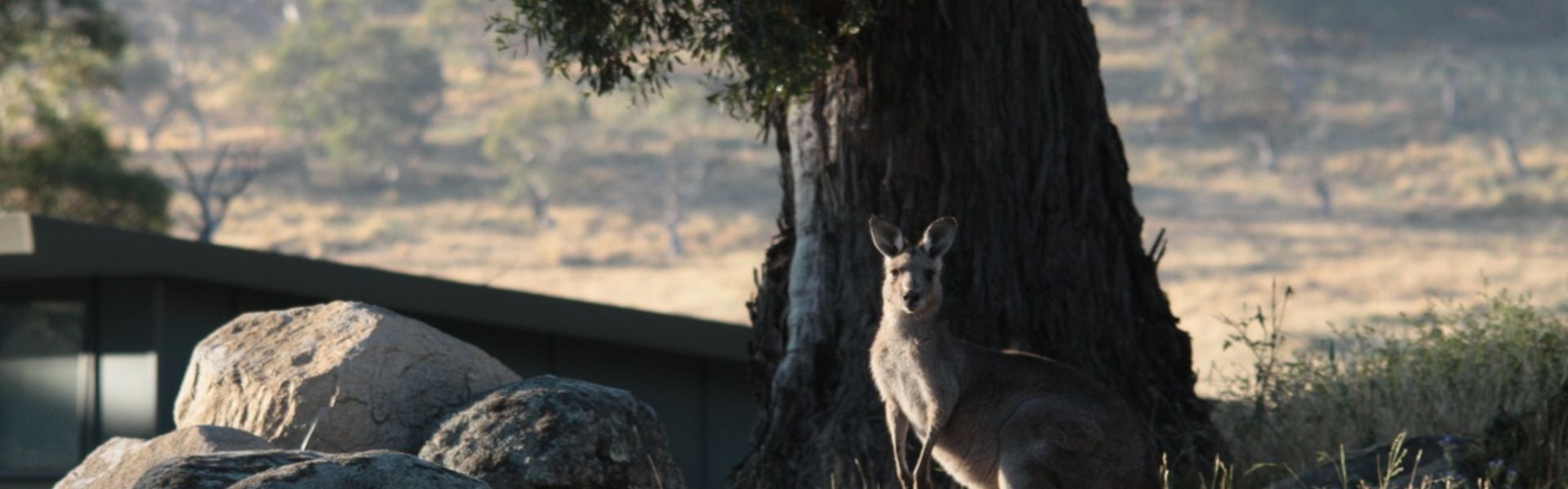 Ecocrackenback Chalet 8 – Accessible Accommodation