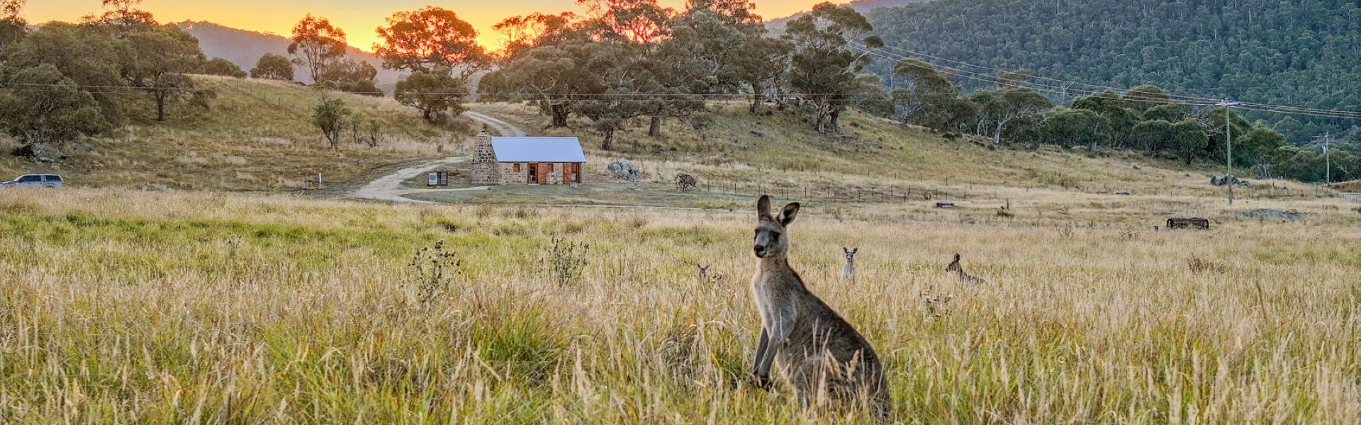 The Stone Cottage at Wollondibby