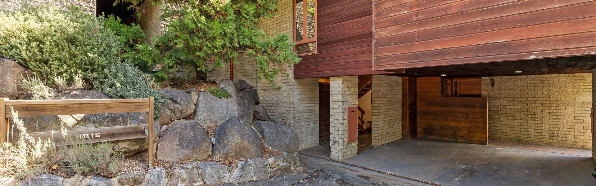 Ibis on Lake Jindabyne