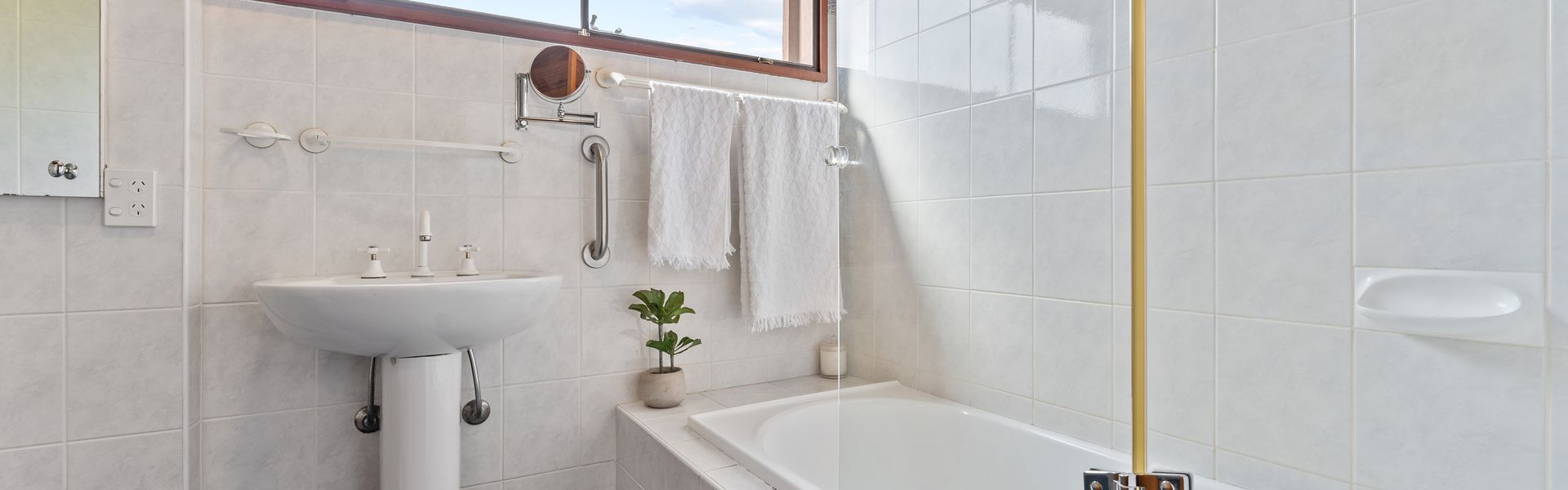 Ibis on Lake Jindabyne