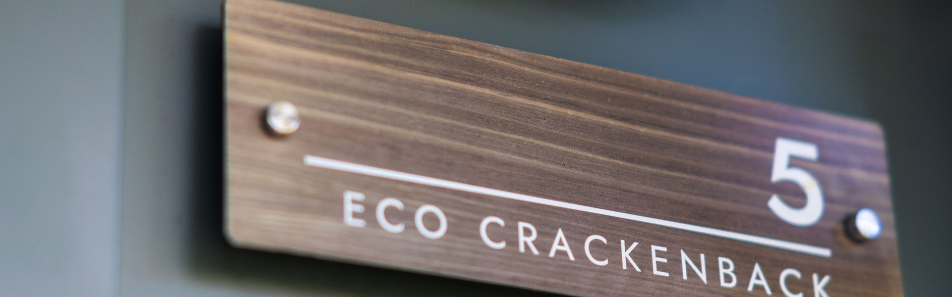 Ecocrackenback Chalet 5