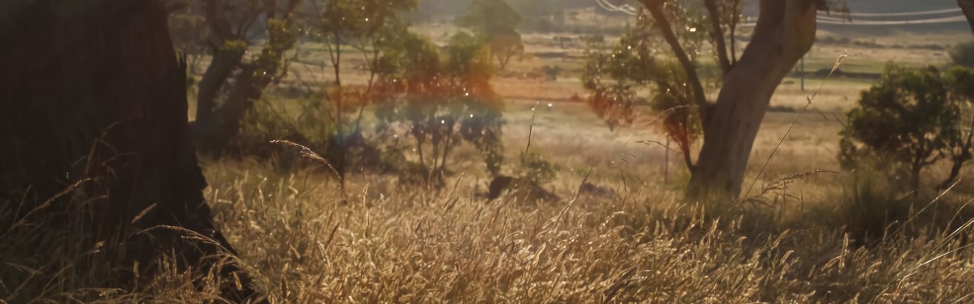 Ecocrackenback Chalet 9