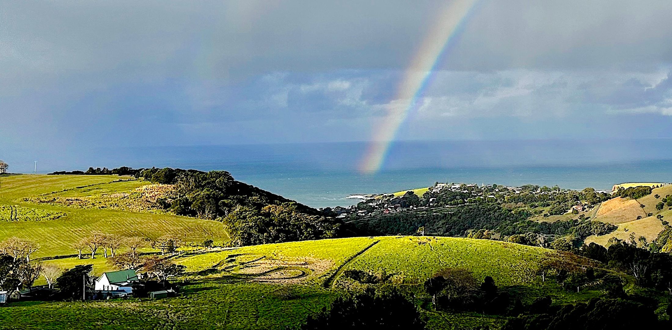 Saddleback Grove, Kiama