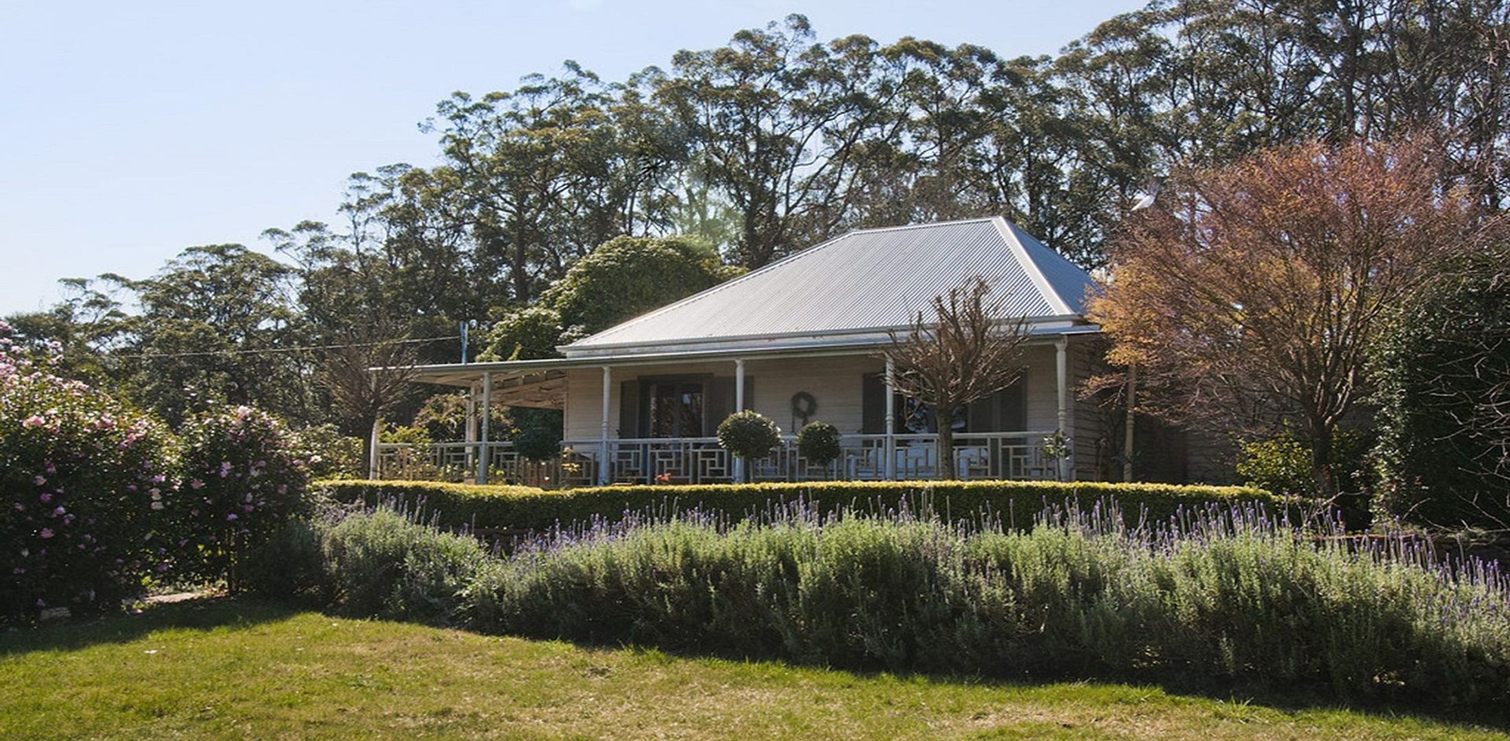 The Tor, Southern Highlands