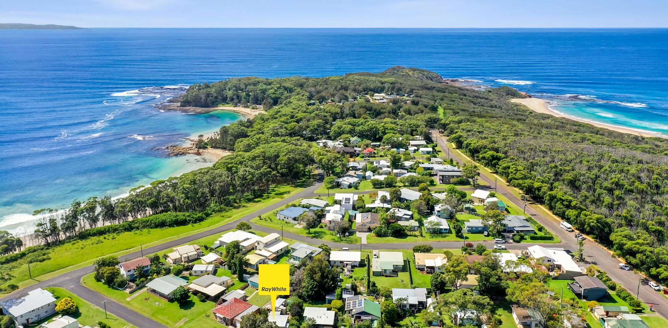 Elanora