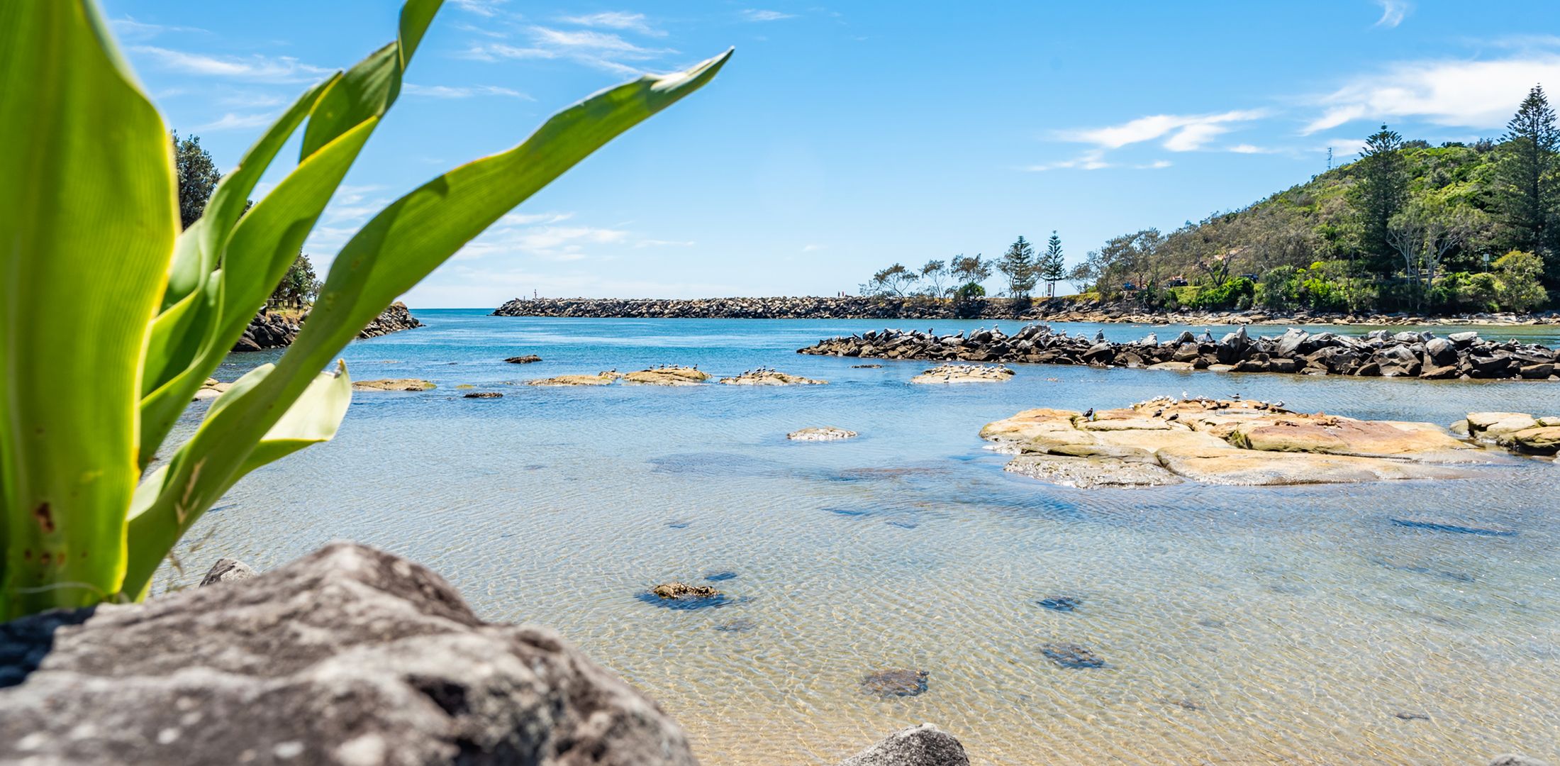 Ocean Palms – Unit 4