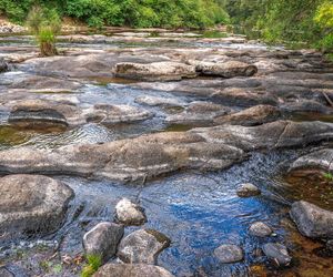 The Sleepy Roo, Kangaroo Valley
