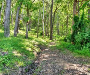 Kooyong, Kangaroo Valley