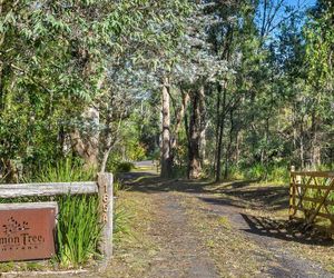 Lemon Tree Cottage, Kangaroo Valley