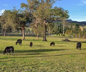 Maddys KV, Kangaroo Valley