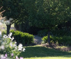 Serendipity, Kangaroo Valley