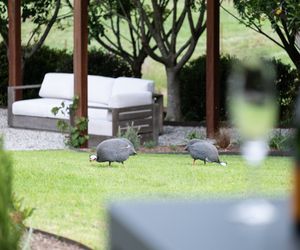 Serendipity, Kangaroo Valley