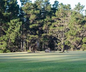 Villa 27 Kangaroo Valley Golf Course, Kangaroo Valley