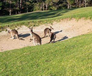 Villa 27 Kangaroo Valley Golf Course, Kangaroo Valley