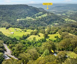 Ribbonwood, Kangaroo Valley