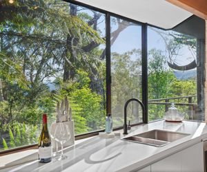 Ribbonwood, Kangaroo Valley