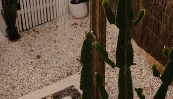 Thumbnail 22