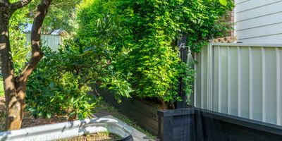   Kiama Mountain Views Home
