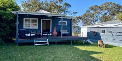   Nautilus in North Bendalong