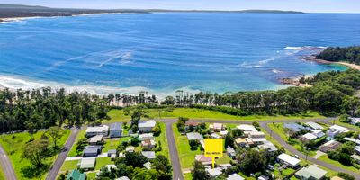   Elanora