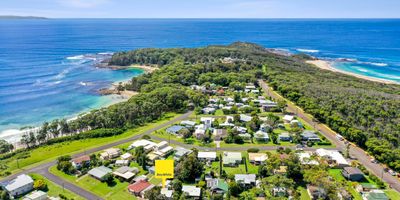   Elanora