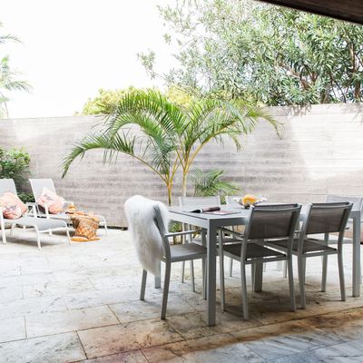 The Coconut Palm TWO