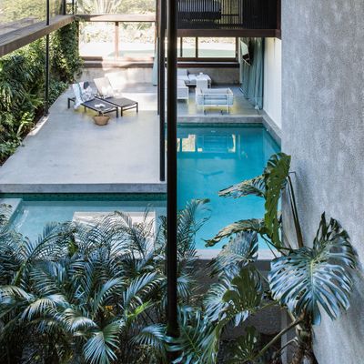 The Rainforest Retreat