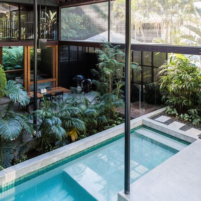 The Rainforest House