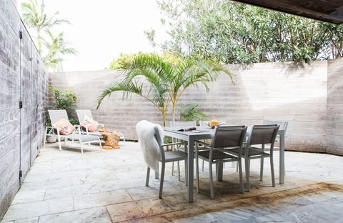 The Coconut Palm TWO