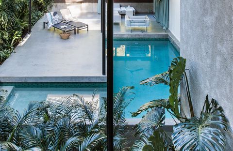 The Rainforest Retreat, Little Cove