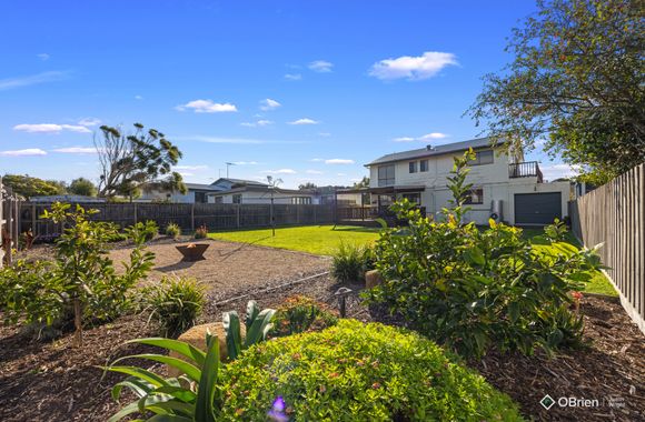 Seashell Rina Cape Woolamai Phillip Island